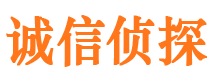 番禺市侦探调查公司